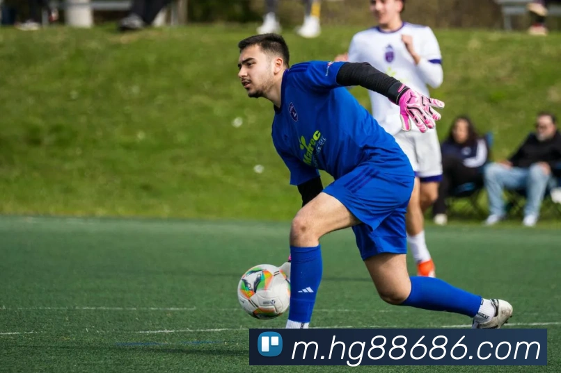 多终端兼容